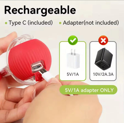 🎅Christmas Sale 50% OFF 🎄50K+；Cat&Dog toy ball cat&dog toy electric moving ball toy