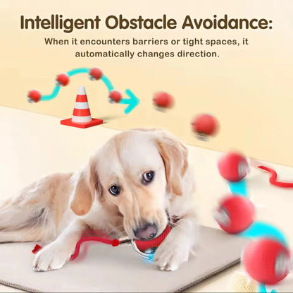 🎅Christmas Sale 50% OFF 🎄50K+；Cat&Dog toy ball cat&dog toy electric moving ball toy